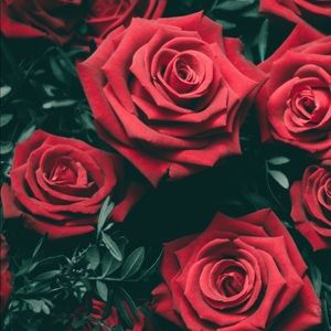 Meet your Posher, Natalia